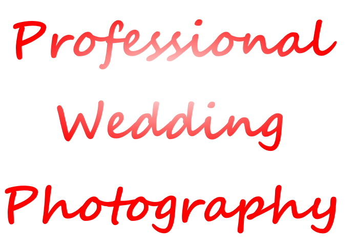 Professional
Wedding
Photography