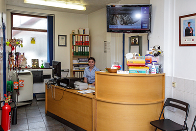 Photograph taken for a Vets Practice in South-Wales