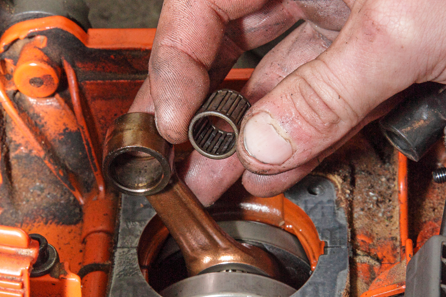Blackwood Chainsaws, South Wales.