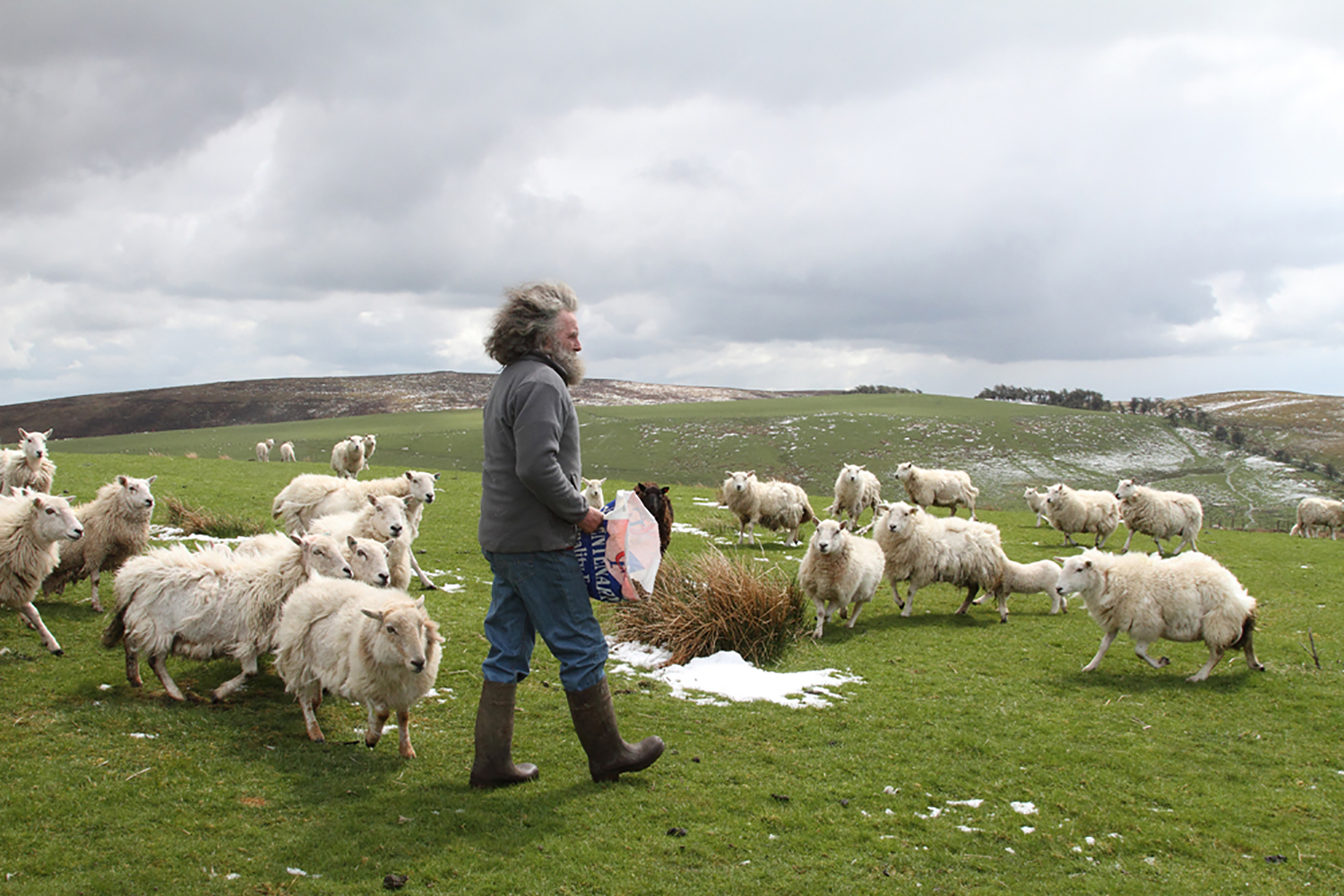 Farmer, Sheep, Hill-top, Hill, Sheep, Wind Farm, A483, Llandewi.&nbsp; Llanbadan. Alternative, Power, Energy, Electricity, Renewable.