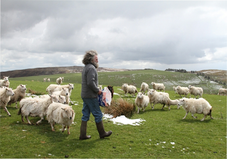 Part of photoshoot of Hill-farm for Scottish alternative energy company about farm-diversification.