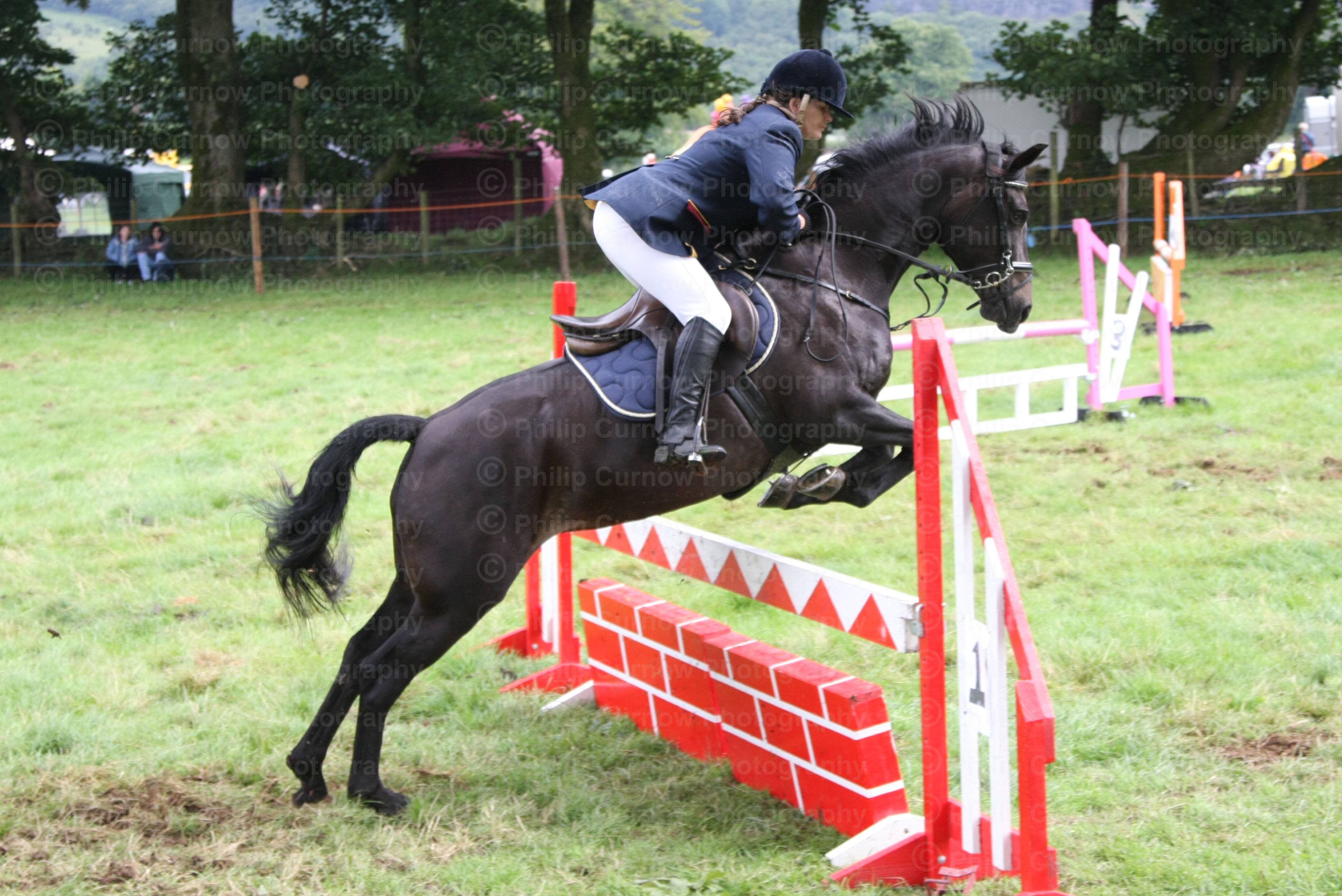 Equestrian Photographs, Copyright of Philip Curnow Photography