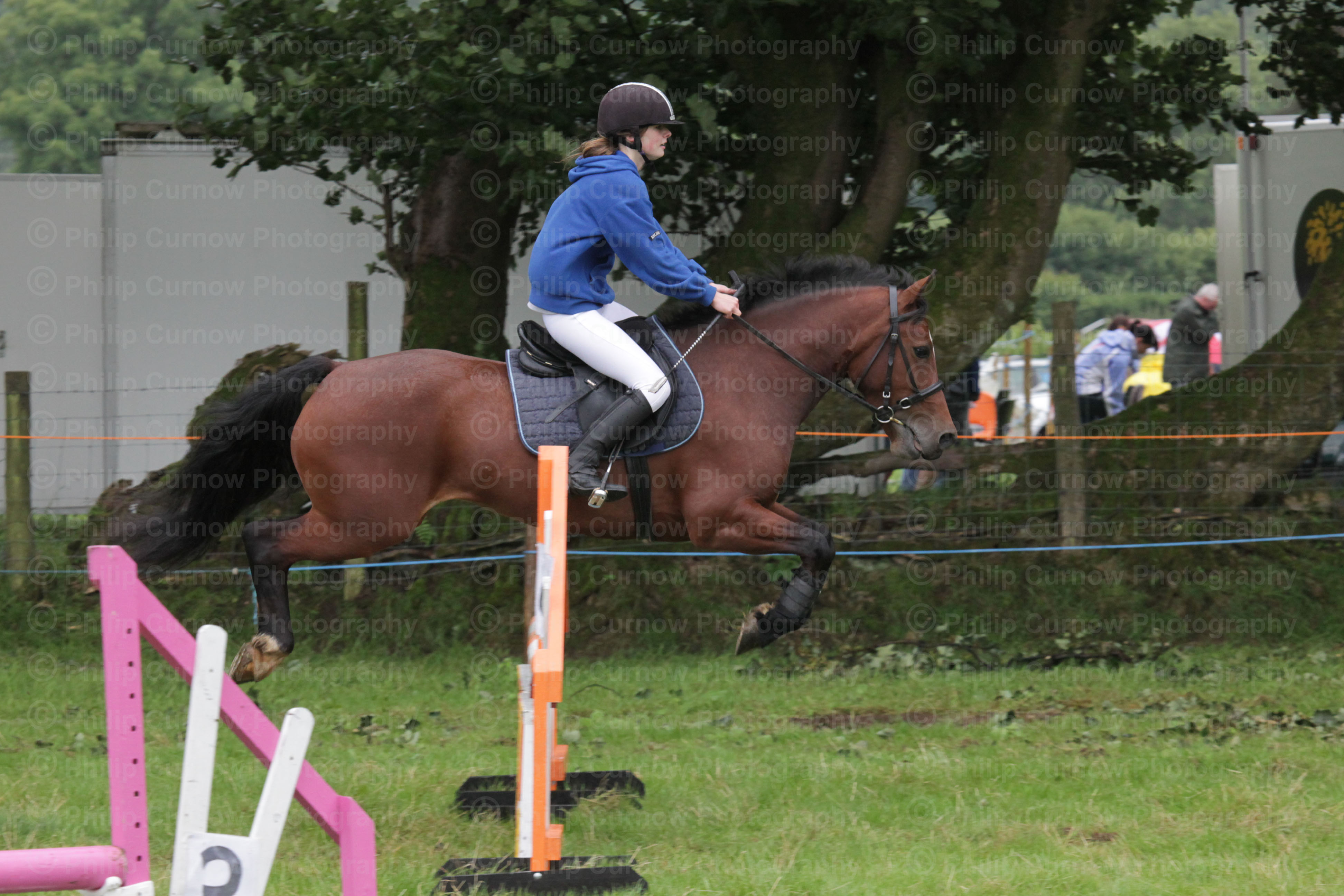 Equestrian Photographs, Copyright of Philip Curnow Photography