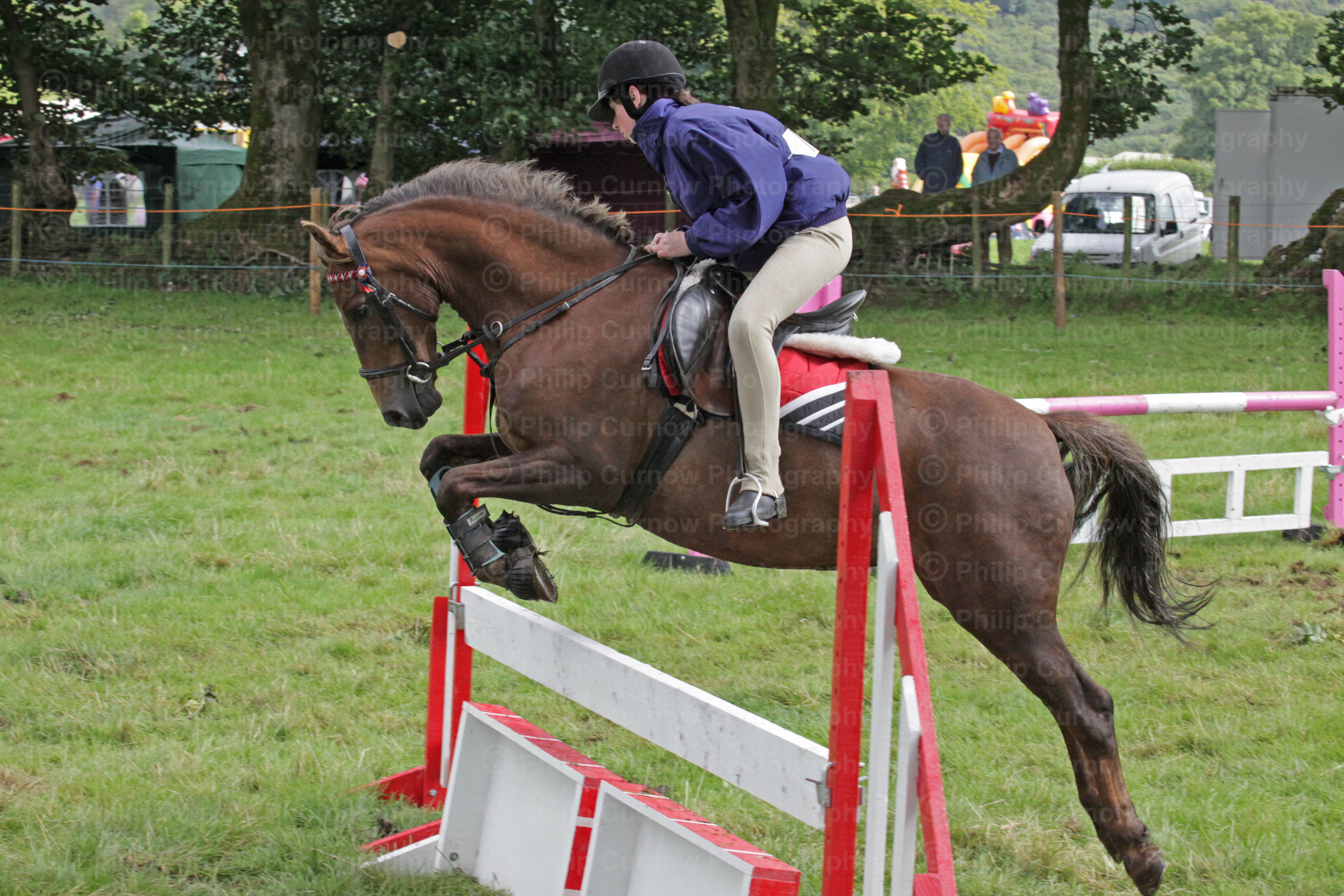 Equestrian Photographs, Copyright of Philip Curnow Photography