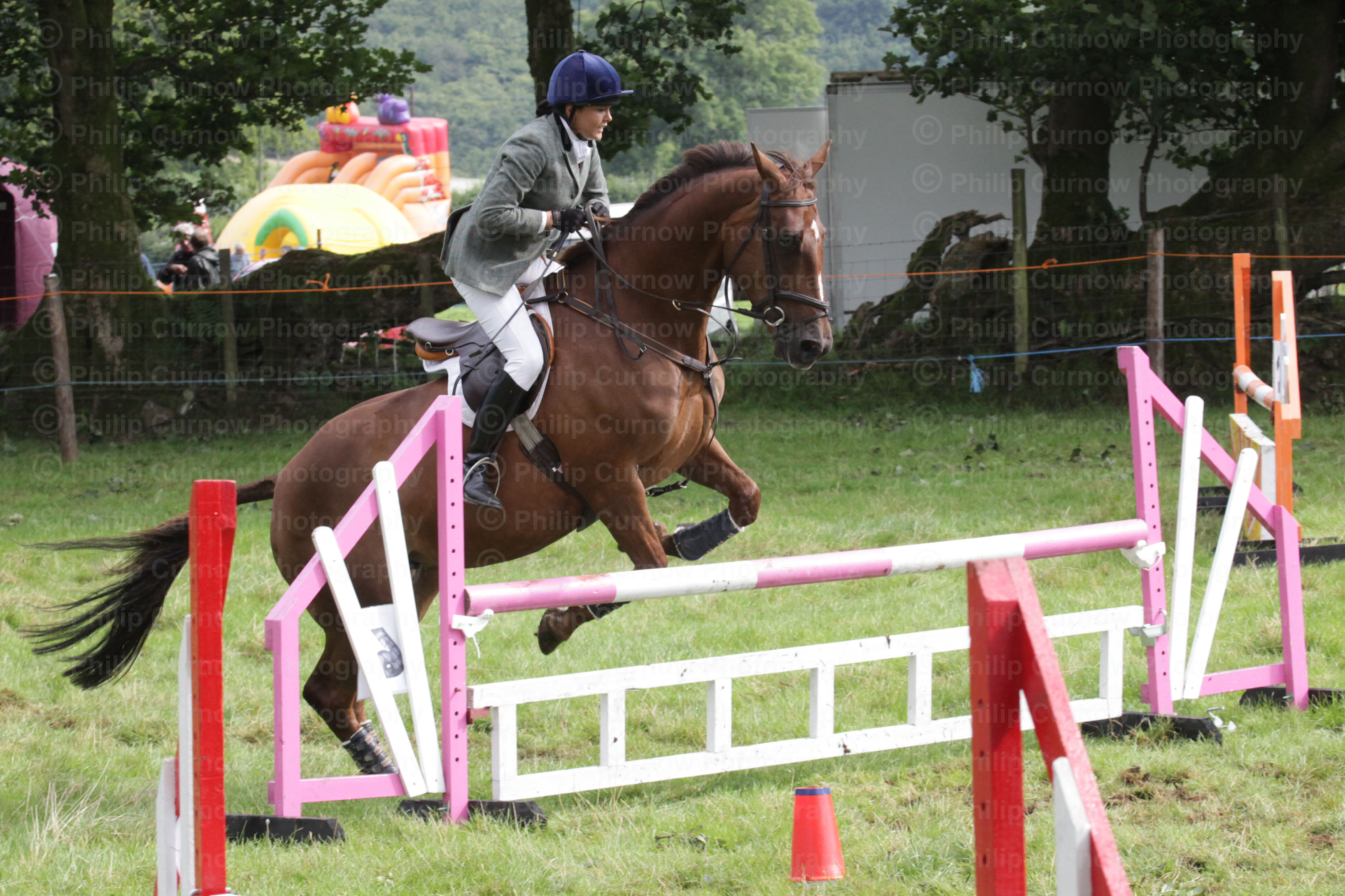 Equestrian Photographs, Copyright of Philip Curnow Photography