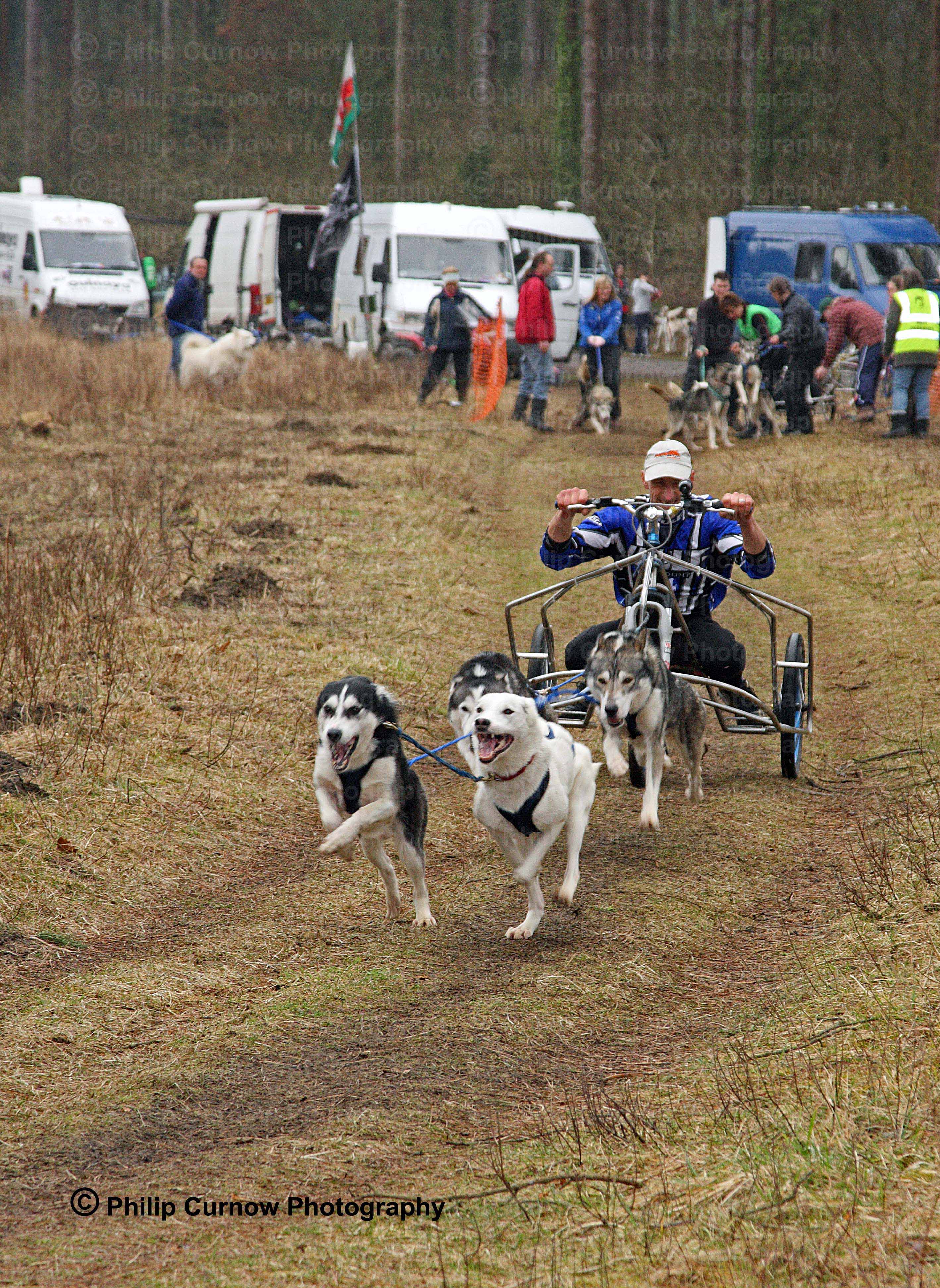 Competitor, Pembrey Forest, February 2009