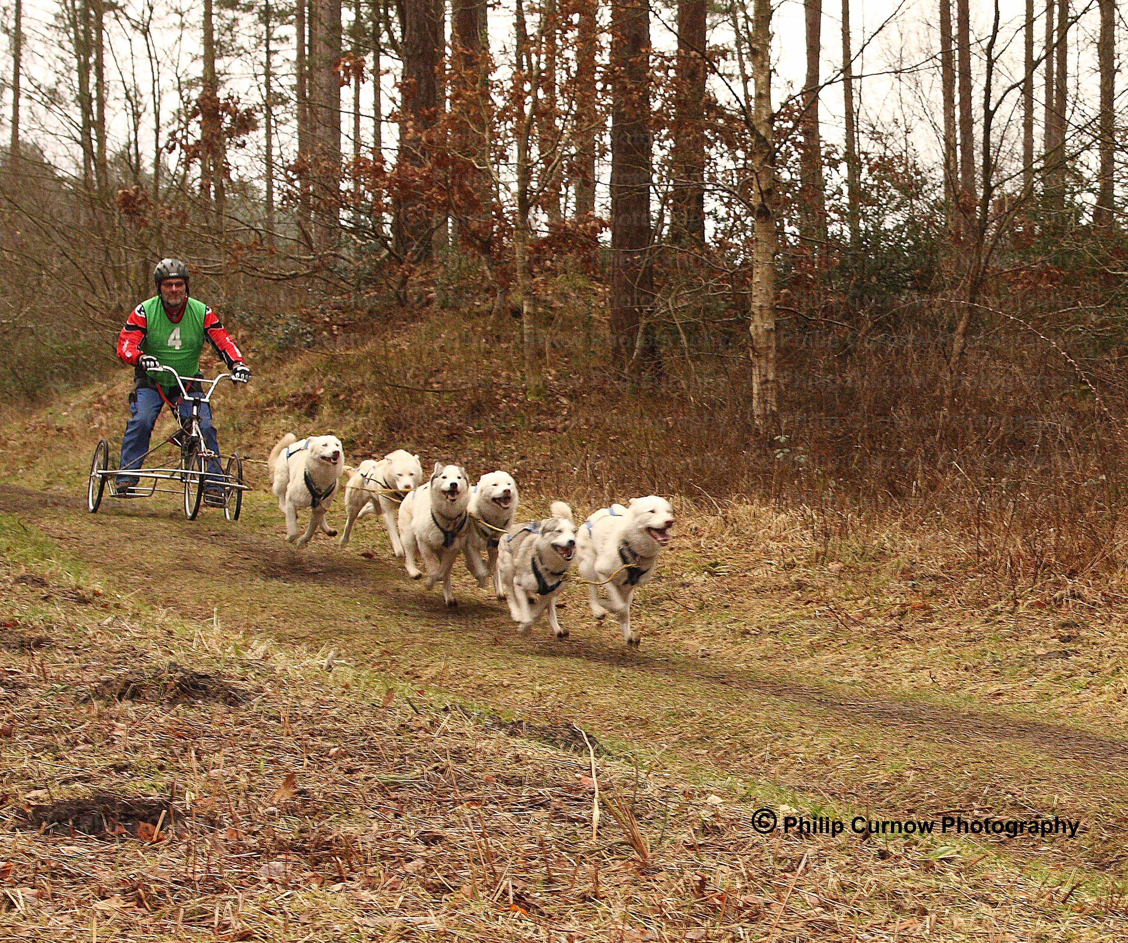 Competitor 4, Pembrey Forest, February 2009