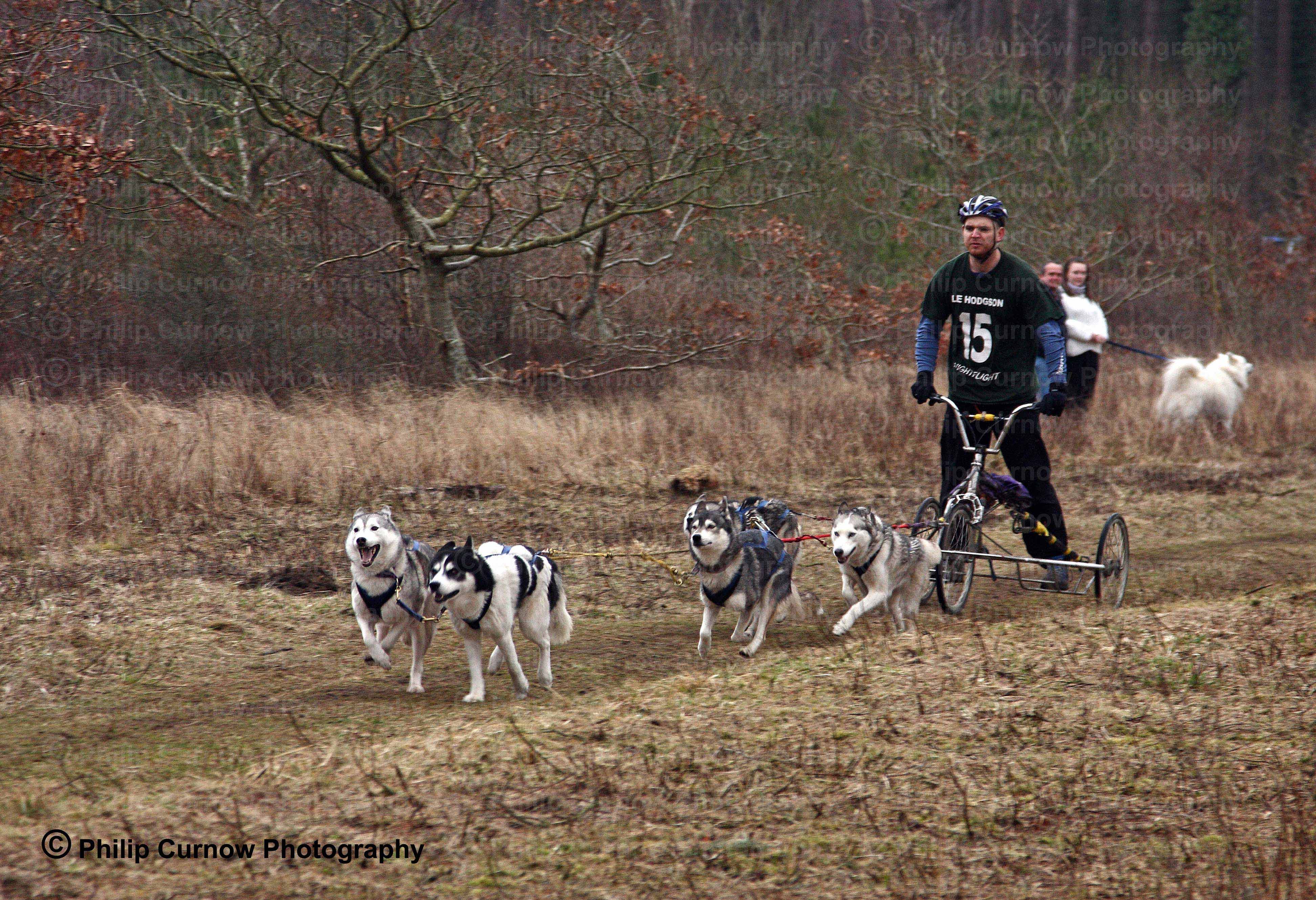 Competitor 15, Pembrey Forest, February 2009