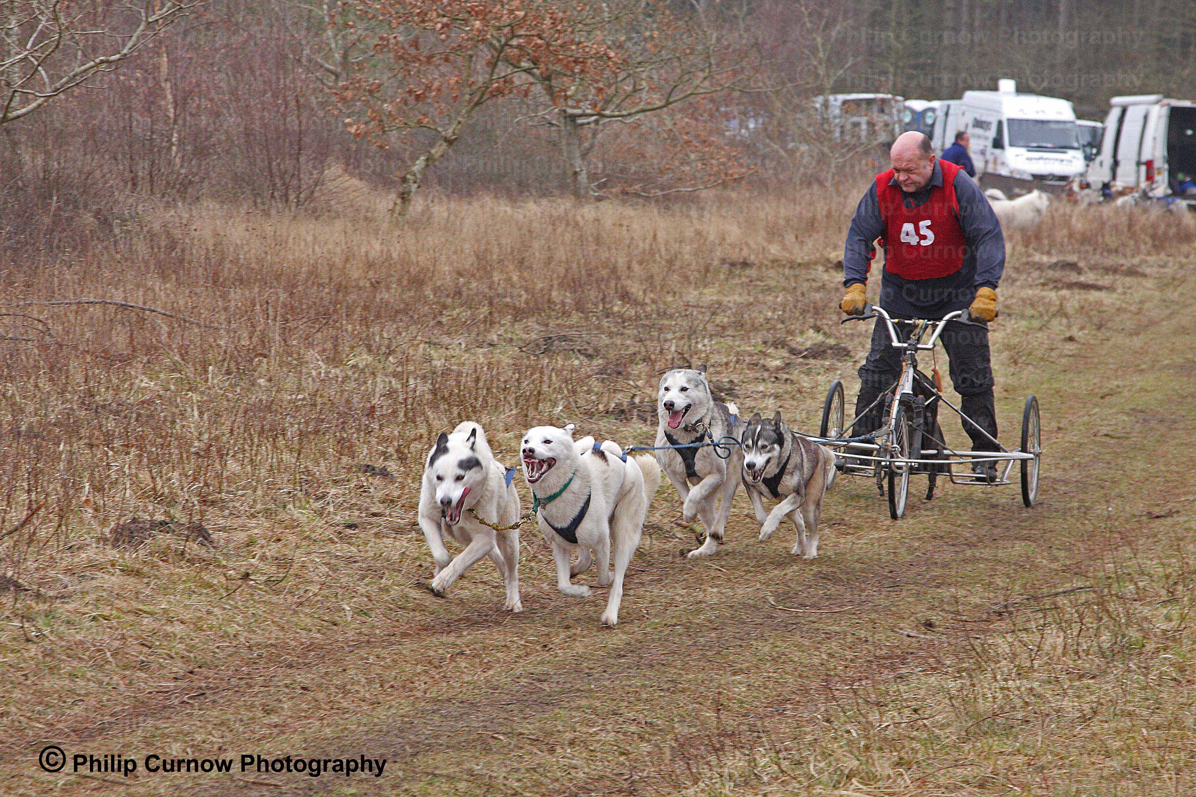 Competitor 45, Pembrey Forest, February 2009