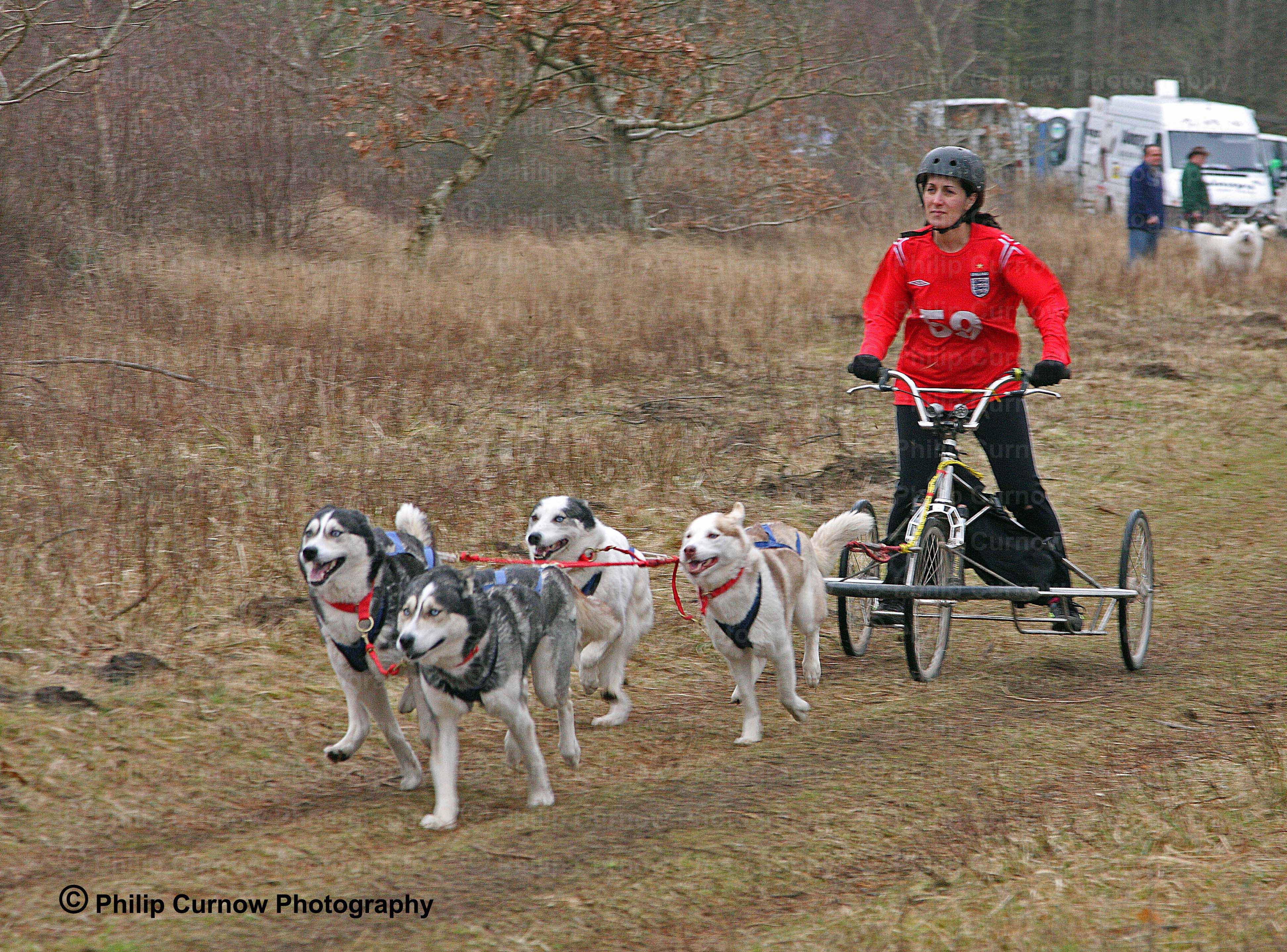 Competitor 59, Pembrey Forest, February 2009