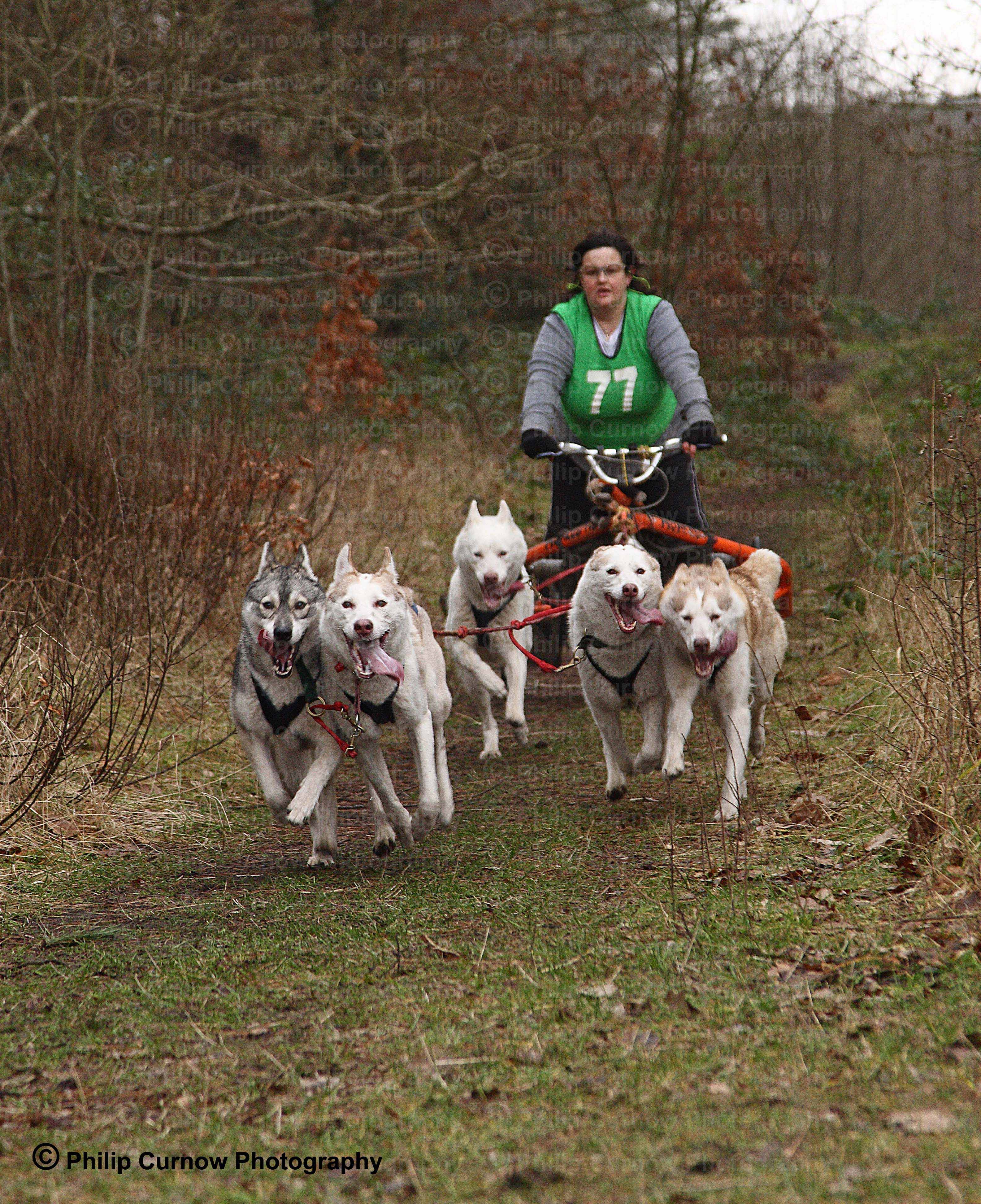 Competitor 77, Pembrey Forest, February 2009