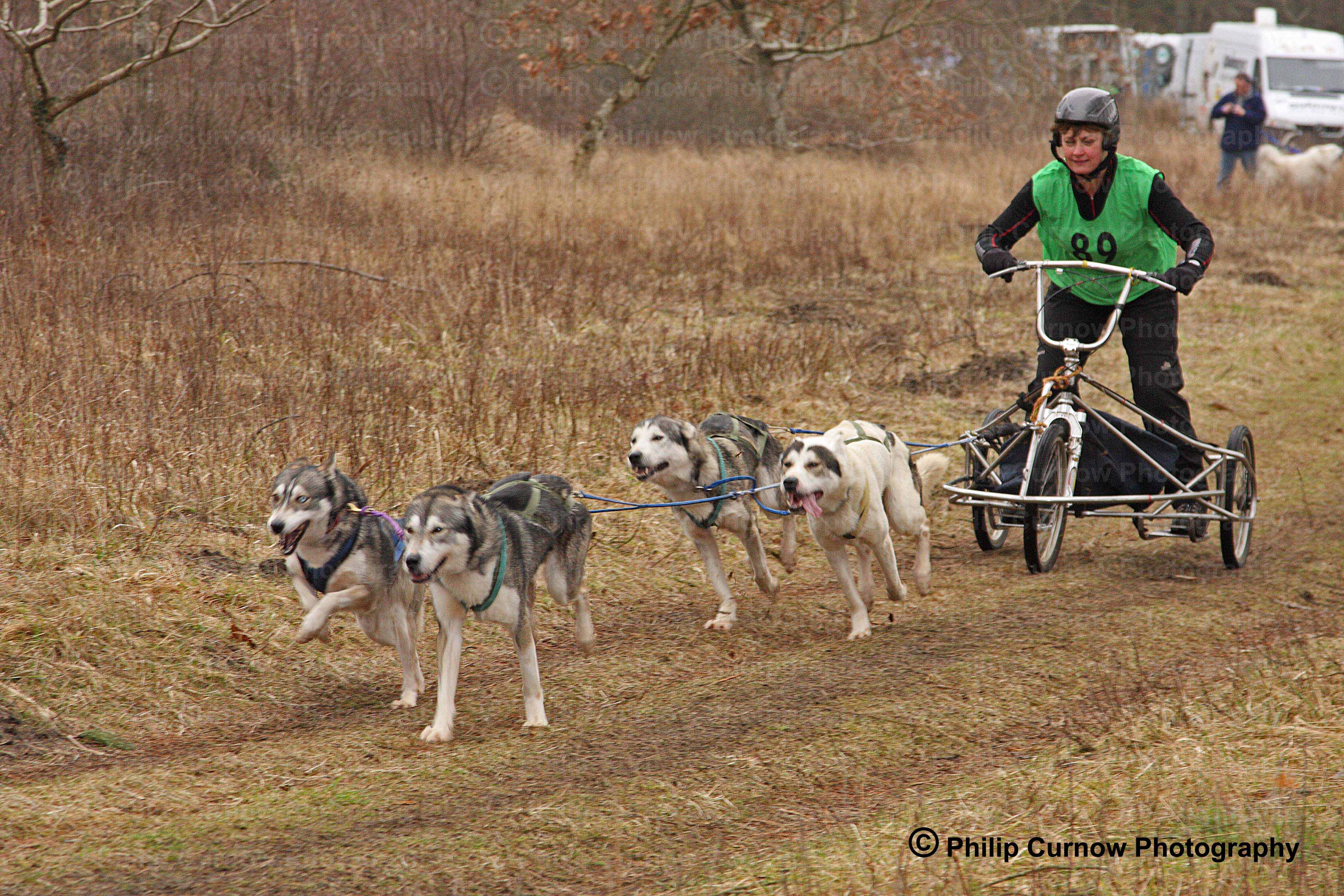 Competitor 89, Pembrey Forest, February 2009