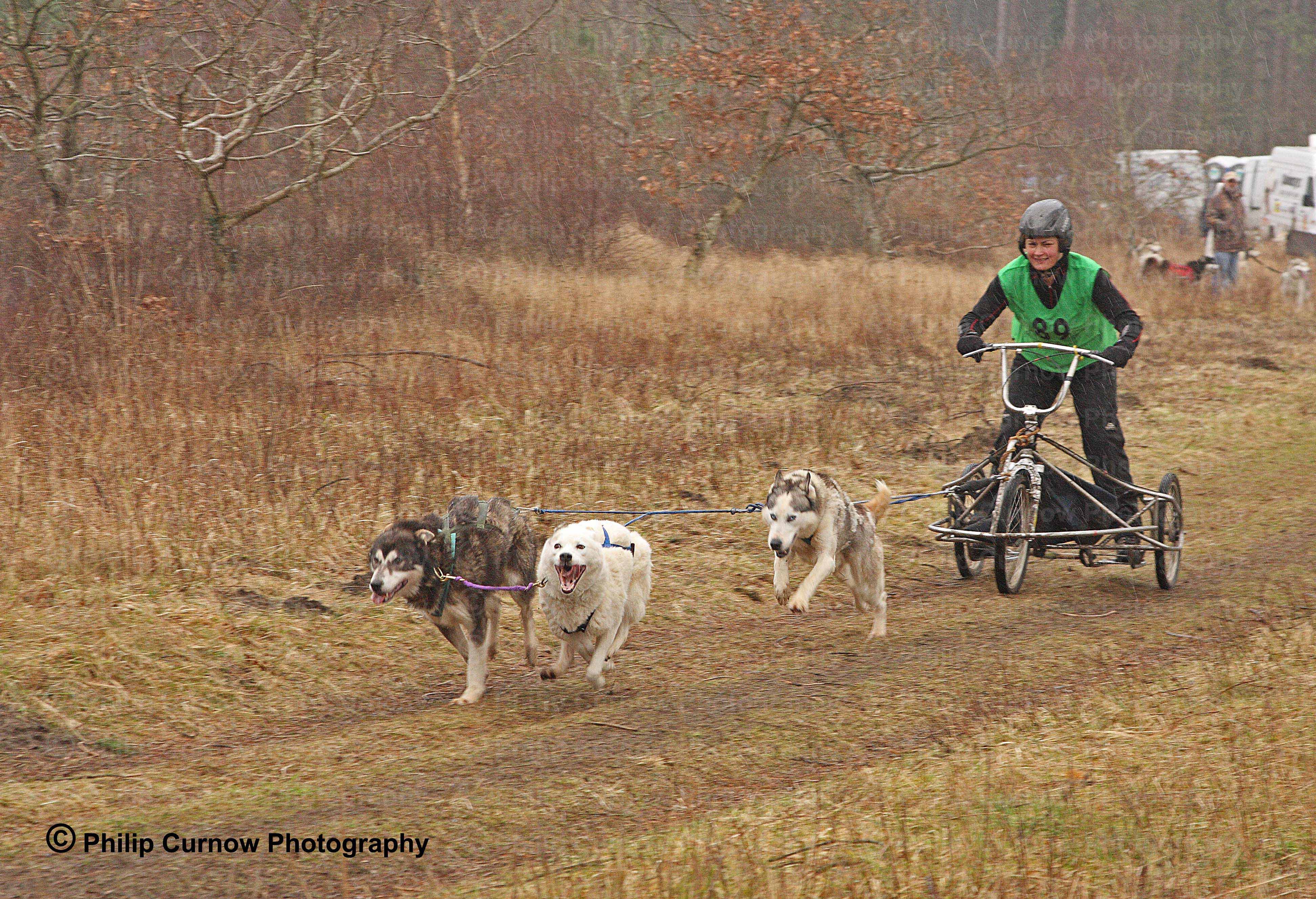 Competitor 89, Pembrey Forest, February 2009