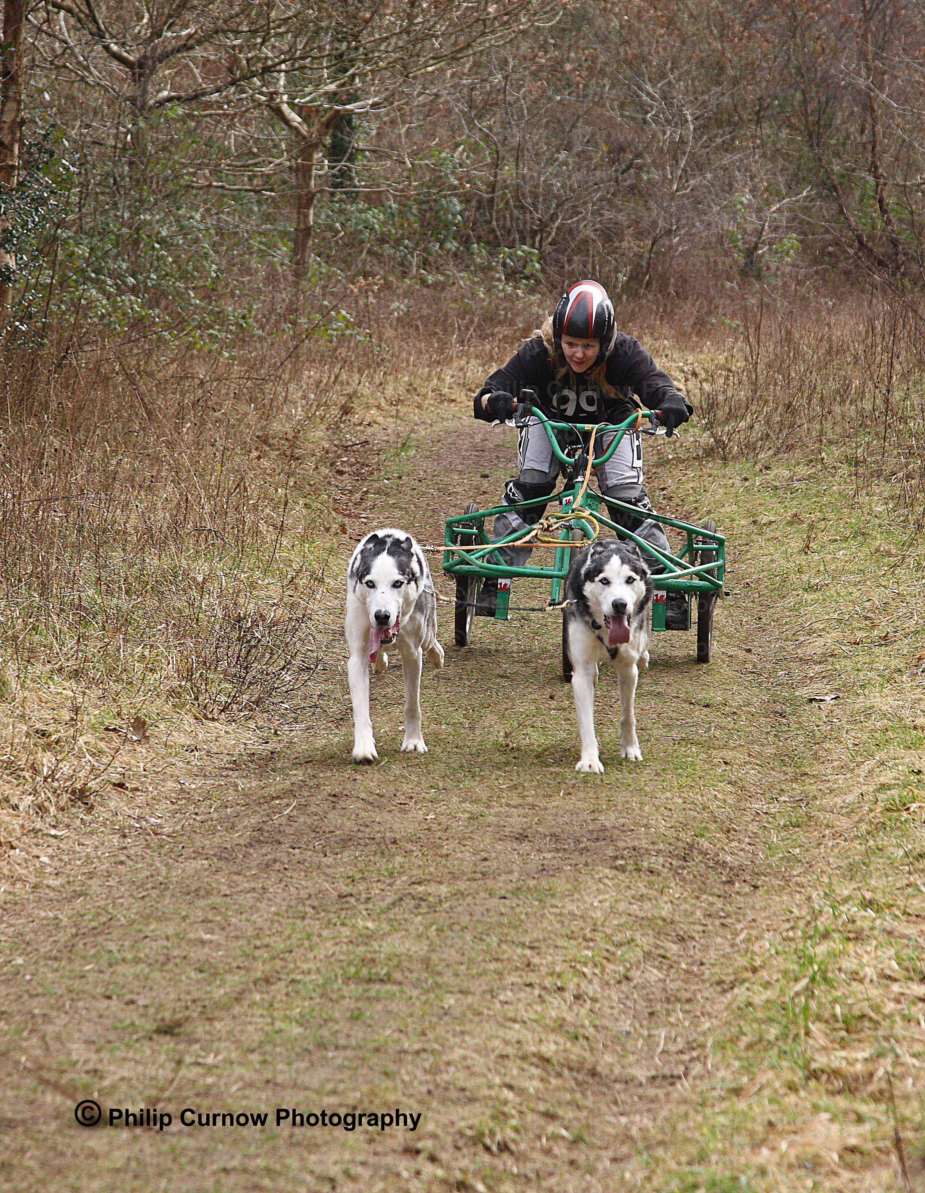 Competitor 99, Pembrey Forest, February 2009