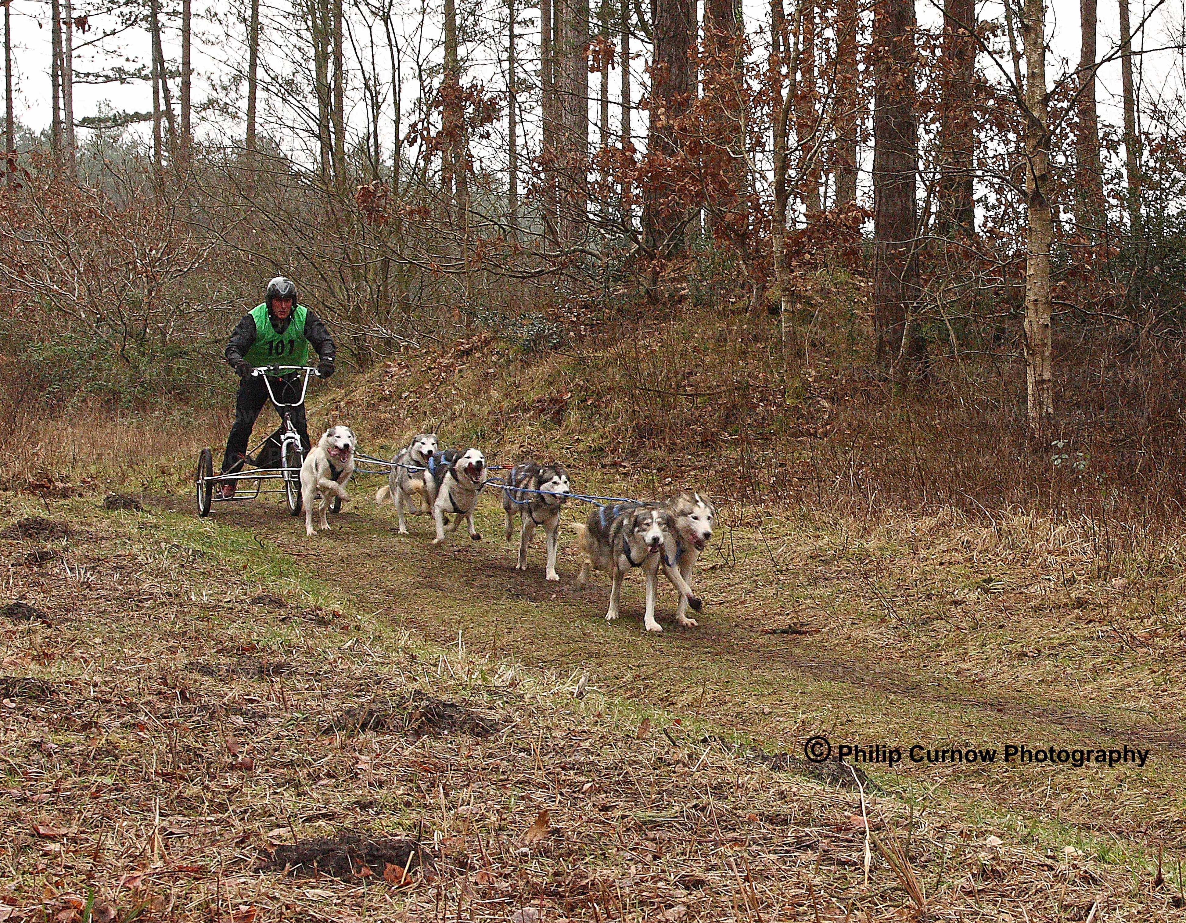 Competitor 101, Fred Palmer, Pembrey Forest, February 2009