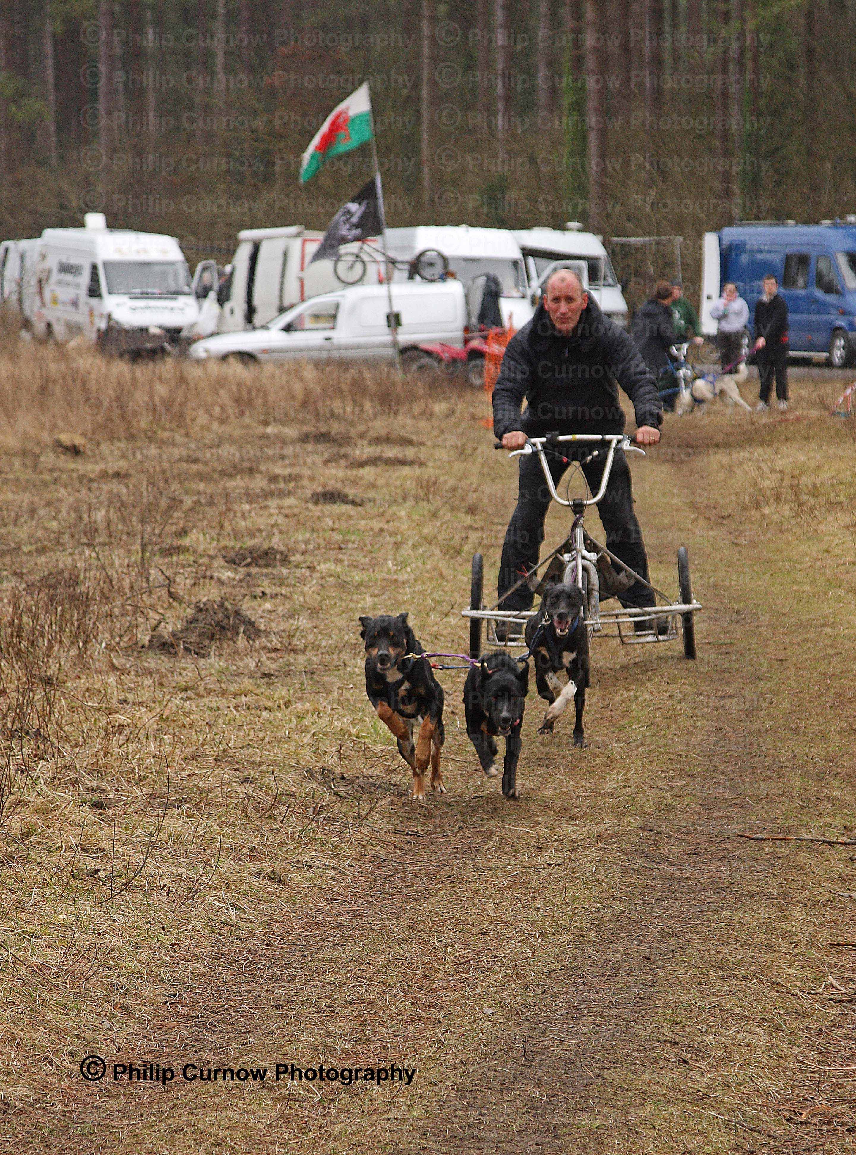 Fred Palmer, Pembrey Forest, February 2009