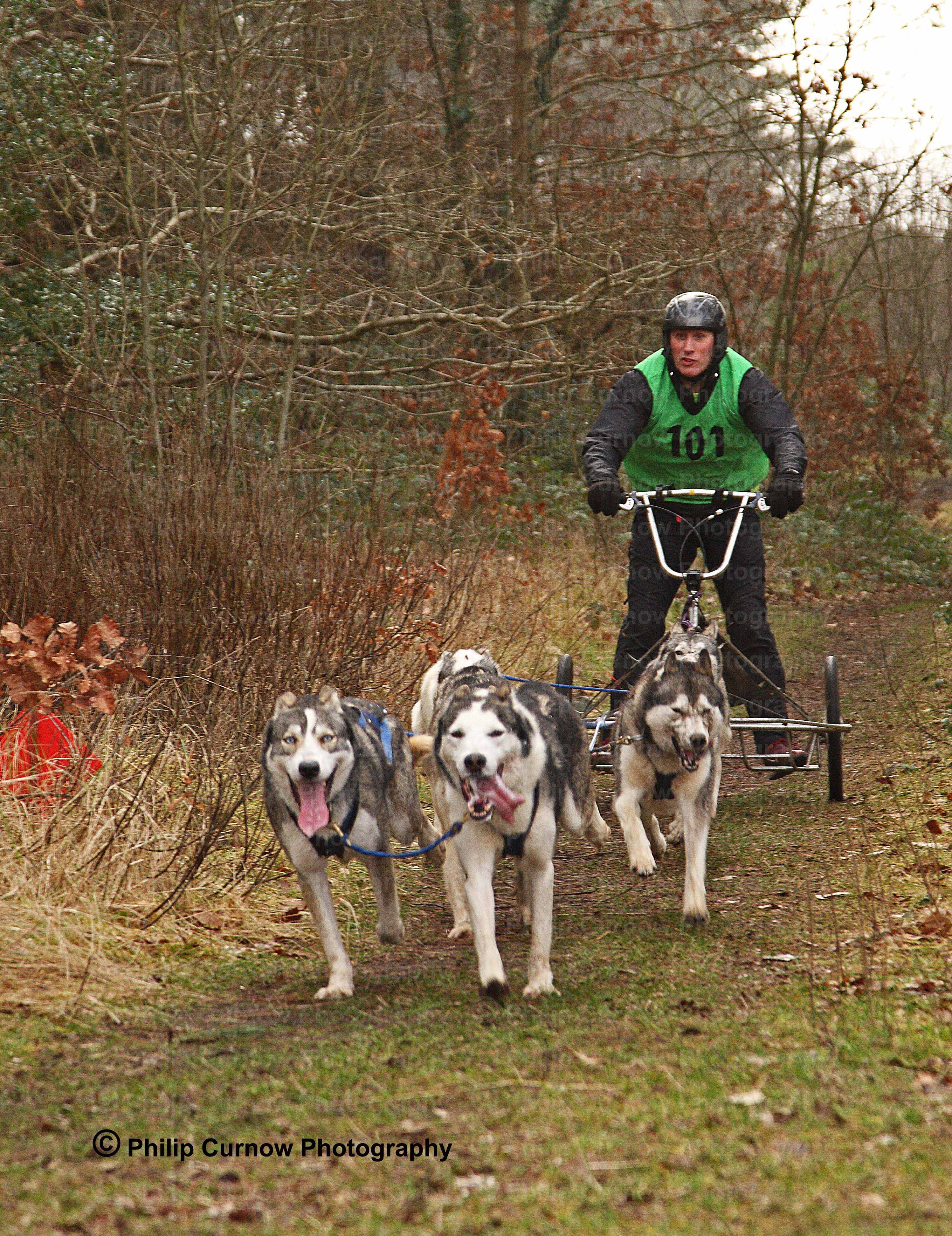 Competitor 101, Fred Palmer, Pembrey Forest, February 2009