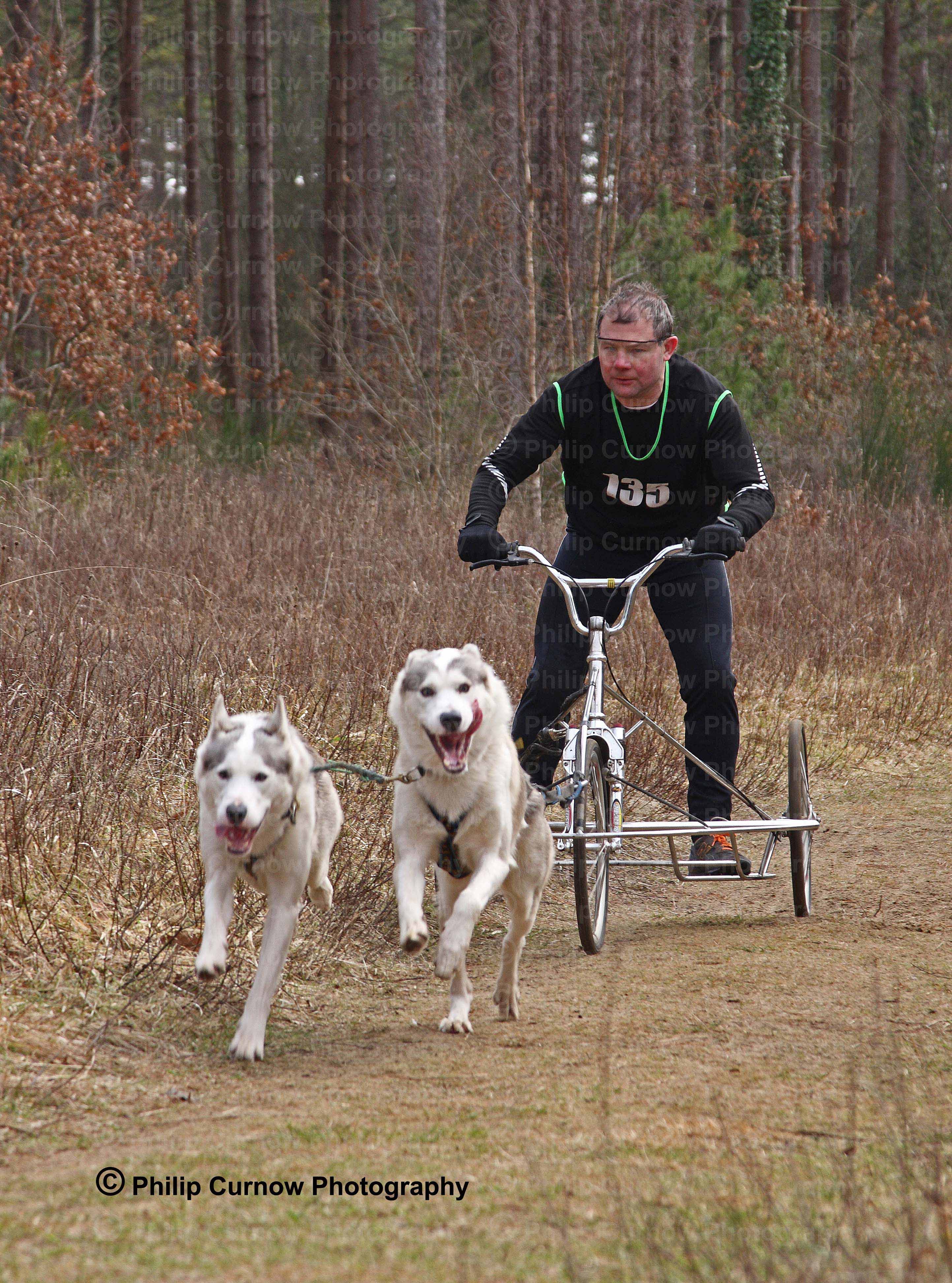 Competitor 135, Pembrey Forest, February 2009