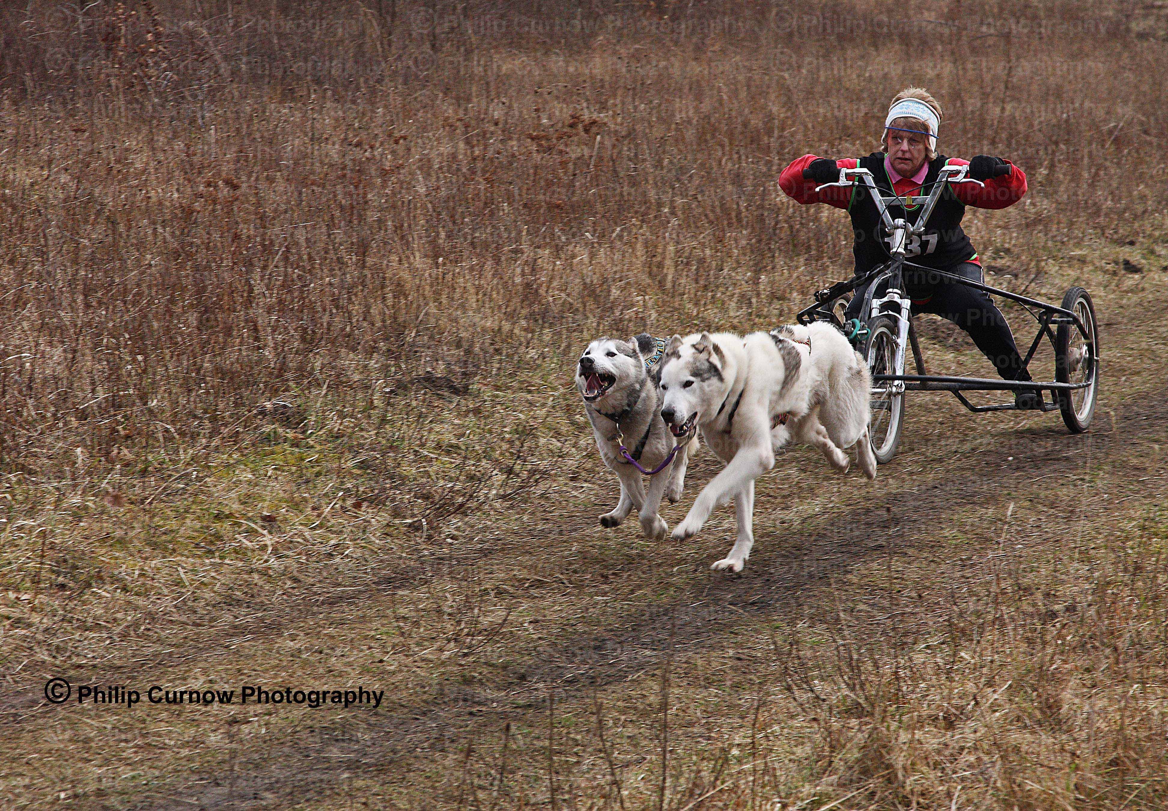 Competitor 137, Pembrey Forest, February 2009
