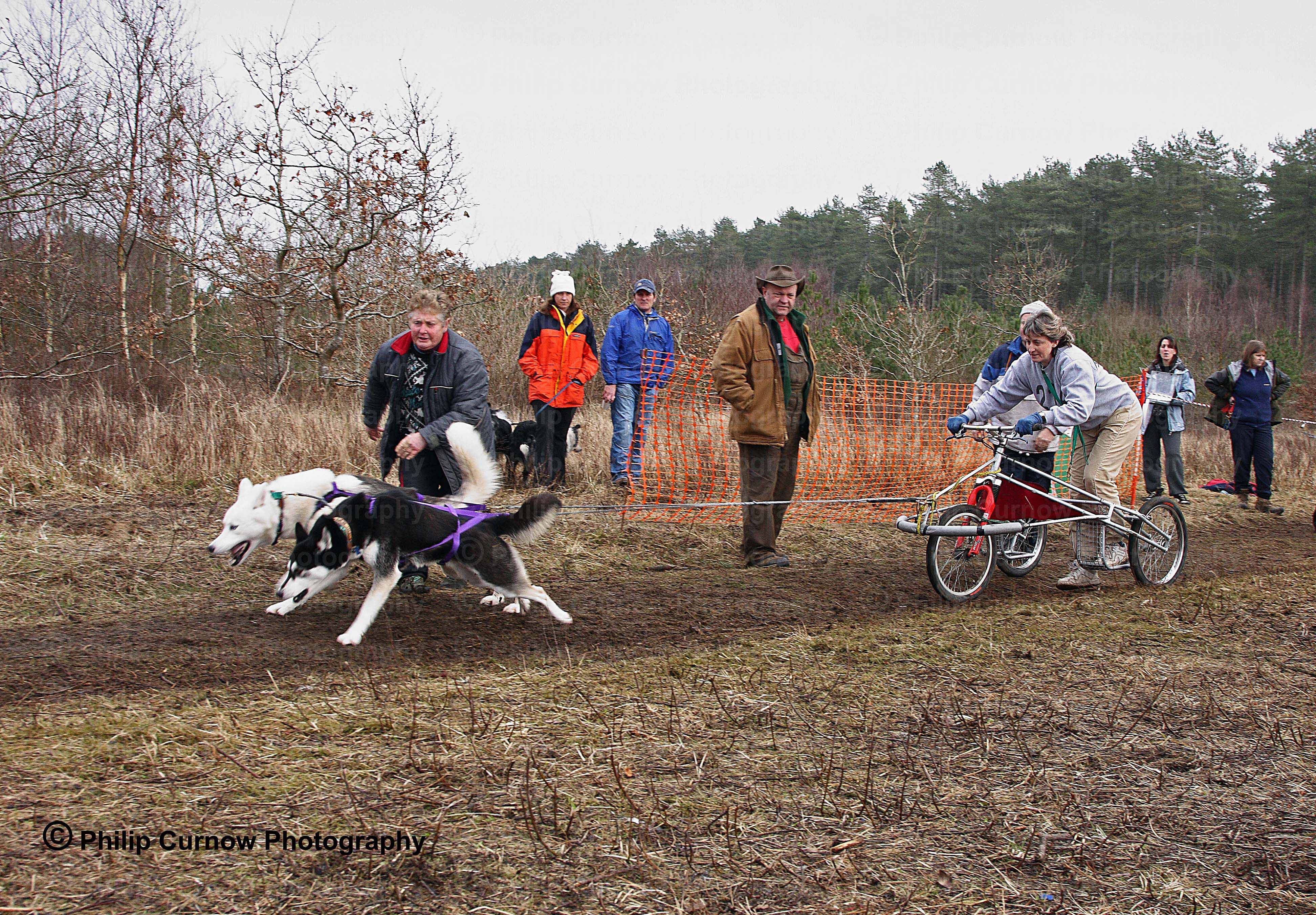 Competitor 214, Pembrey Forest, February 2009
