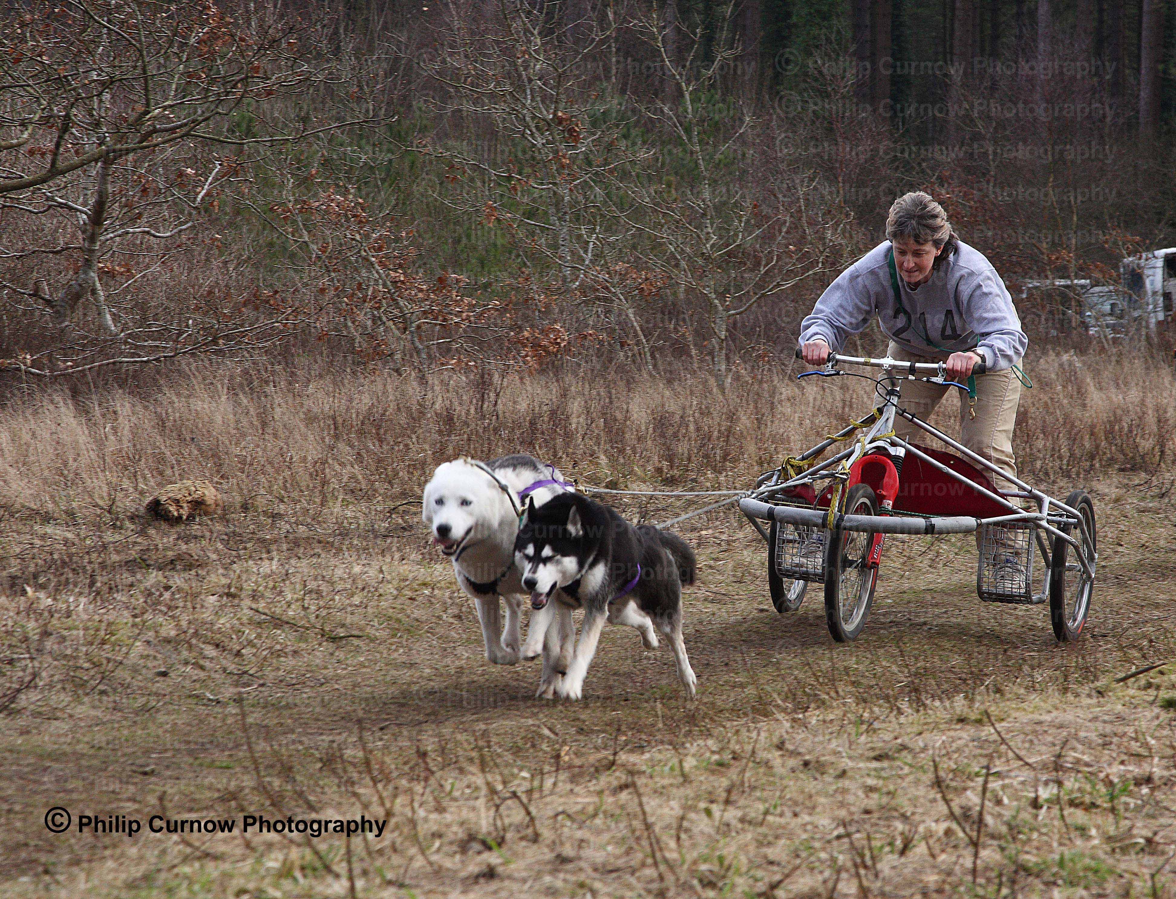 Competitor 214,  Pembrey Forest, February 2009
