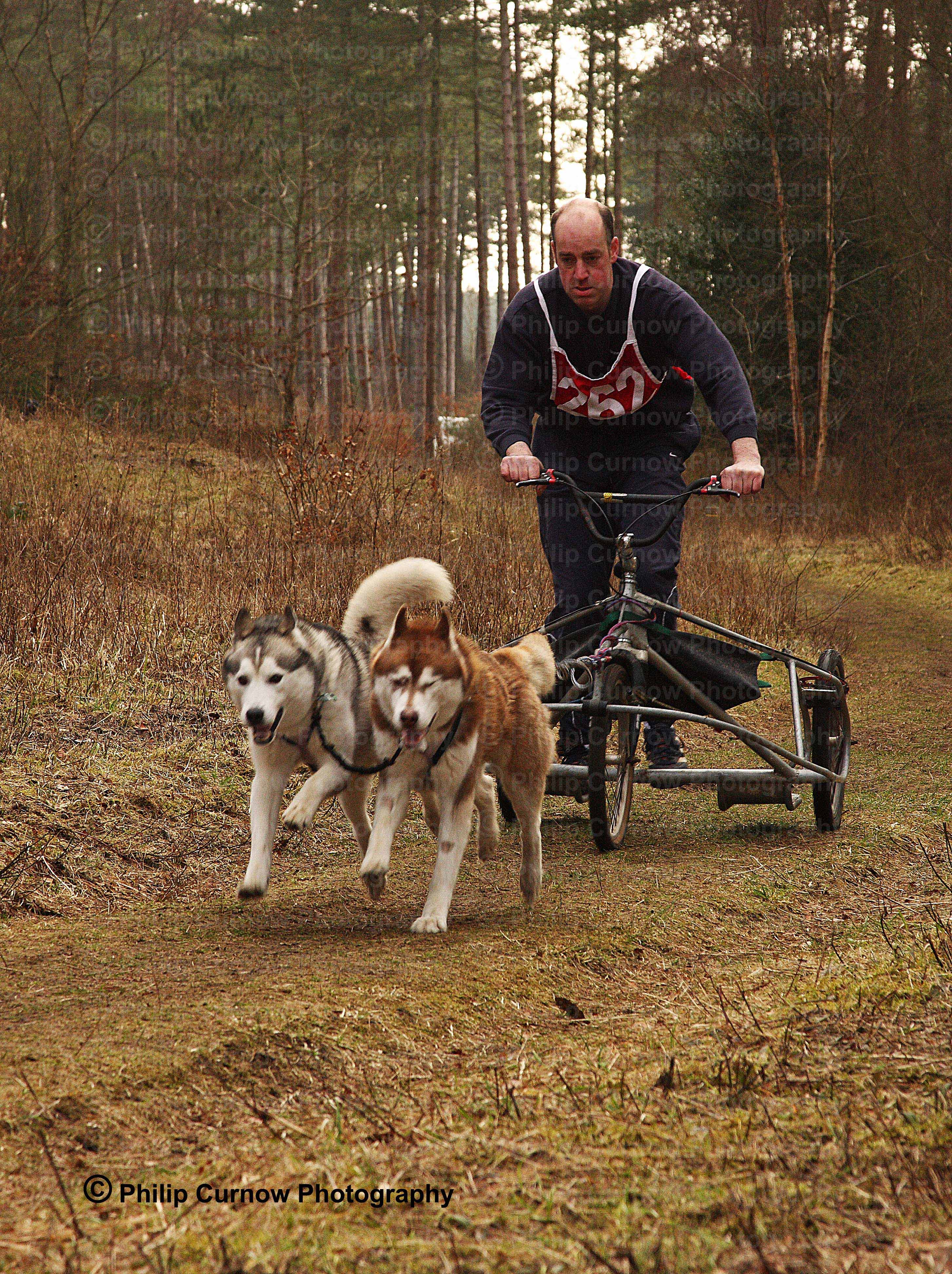 Competitor 262, Pembrey Forest, February 2009