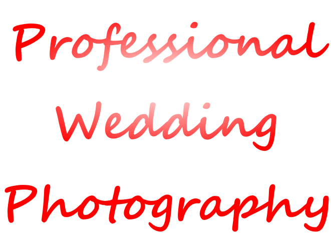 Professional Wedding Photography
